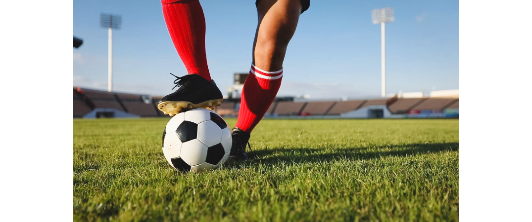 Federasyonumuzdan Yeni Dönem Açılışı